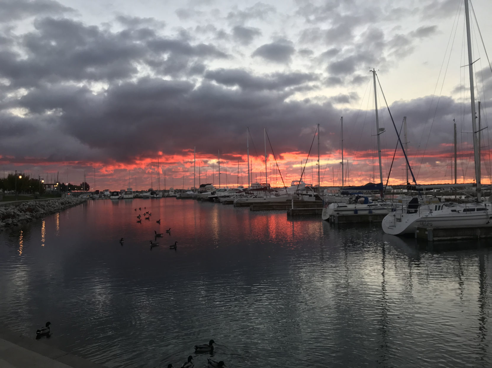 Lizzie Huck Stensing: Harbor